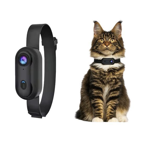 Visual PetMount
